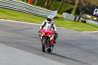 Oulton-Park-21st-March-2020;PJ-Motorsport-Photography-2020;anglesey;brands-hatch;cadwell-park;croft;donington-park;enduro-digital-images;event-digital-images;eventdigitalimages;mallory;no-limits;oulton-park;peter-wileman-photography;racing-digital-images;silverstone;snetterton;trackday-digital-images;trackday-photos;vmcc-banbury-run;welsh-2-day-enduro
